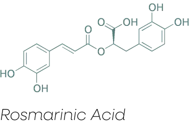 Primary Bioactive: