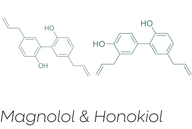 Primary Bioactive: